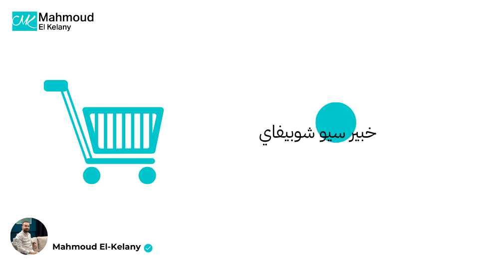 خبير سيو شوبيفاي